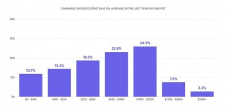 典型的な大麻ユーザーは年間でどの程度お金をかけているのか？1年間に645ドルの消費