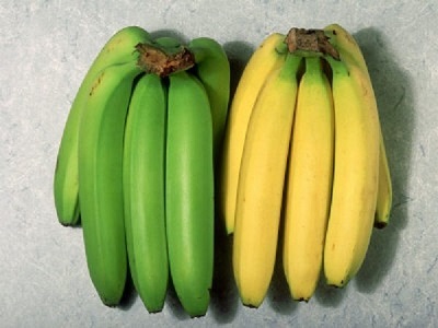 緑と黄色のバナナ