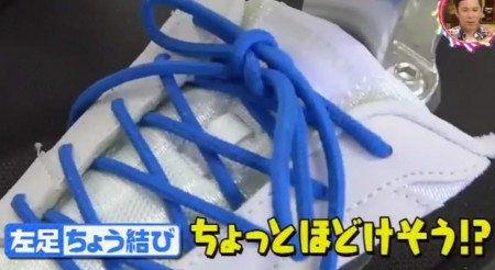 第56回 Nhk チコちゃんに叱られる ジンギスカンが北海道名物なのはなぜ 雷がジグザグに落ちる理由 虫が明るい所に集まる謎