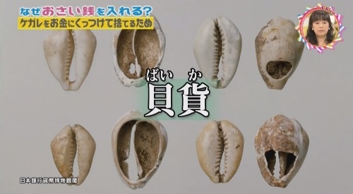 NHK 第3弾「チコちゃんに叱られる！」2017年12月27日 お金のルーツは貝 貝貨