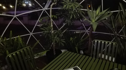 目黒川みんなのイルミネーション2017 五反田ふれあい水辺広場 ガーデンイグルー 観葉植物の席