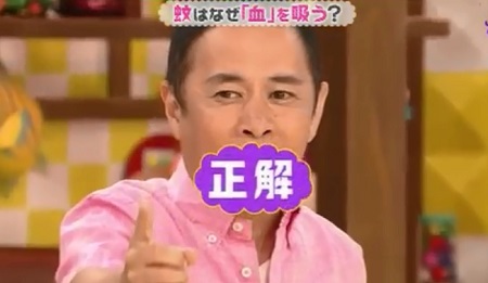 第19回 NHK「チコちゃんに叱られる！」岡村さんが久しぶりに正解(チコった)！VTRゲストに元総理・村山富市登場！