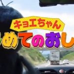 第24回 NHK「チコちゃんに叱られる！」初登場「チコドリル」やキョエのおしごと企画始動と盛り沢山