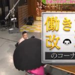 第44回 NHK「チコちゃんに叱られる！」休憩中コーナーが「働き方改革のコーナー」として再登場。さらにキョエちゃんが歌デビュー