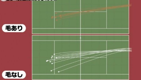 テニスの疑問 テニスボールに毛がある理由は ボールはどう作っている 選手はボールを打つ時になぜ声を出す