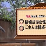 第81回 NHK「チコちゃんに叱られる！」大阪ではエスカレーターで右側に乗るのはなぜ？「結婚式は女性のもの」発言のチコちゃん