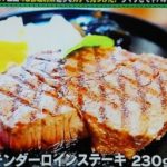 出川哲郎の充電旅から出川哲郎が「日本一美味しい二大ステーキ店」に挙げたお店は？パポイヤ テンダーロインステーキ