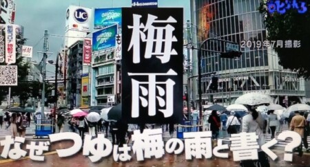 なぜつゆは梅の雨と書く？その漢字の由来は？第96回 NHK「チコちゃんに叱られる！」より