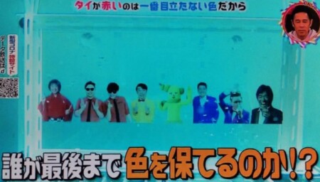 なぜ鯛の色は赤い 釣り好きなら知っているハズ 第97回