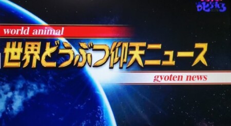 ラーメンの丼のあの グルグル模様 の謎は あの名称は 第99回 Nhk チコちゃんに叱られる より