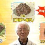 第5弾大先生アワーは一生に一回は食べたい発酵食3選！NHK「チコちゃんに叱られる！」より