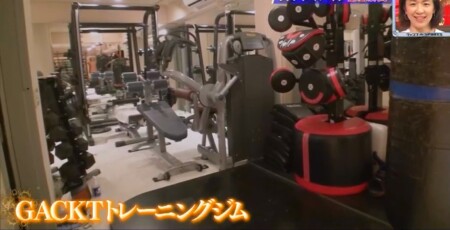 Gacktの筋肉を作る豪邸トレーニングや食事はホントに効果がある 筋トレを徹底検証