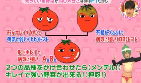 なぜ売っている野菜は同じ大きさ カギはメンデルの法則 チコちゃんに叱られる