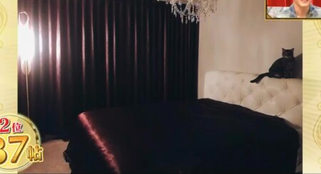 ダレノガレ明美の自宅 紫のエロいベッドルーム