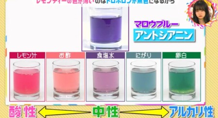 レモンティーはなぜ色が変わる 色が薄い意味とは チコちゃんに叱られる
