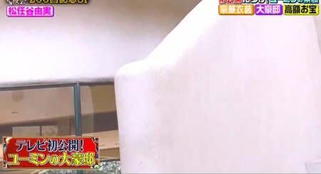 櫻井・有吉THE夜会 ユーミンの自宅写真 角ばった部分を排しているこだわりの螺旋階段