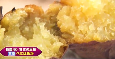 三浦翔平＆西川貴教の美味しい焼き芋日本一決定戦で紹介された7品種 宮崎 紅はるか