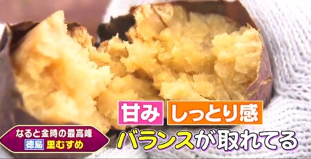 三浦翔平＆西川貴教の美味しい焼き芋日本一決定戦で紹介された7品種 徳島 里むすめ