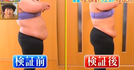 それって実際どうなの課 バランスボール椅子のダイエット効果は 座るだけは効果なし 餅田コシヒカリ検証