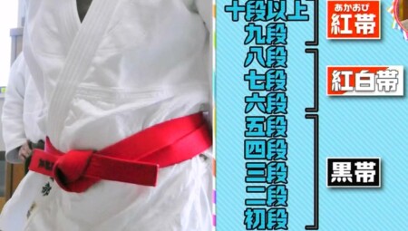 柔道の黒帯にはどんな意味がある 汚れて黒くなった由来はウソ チコちゃんに叱られる