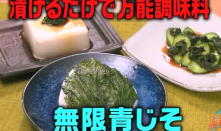 家事ヤロウ 簡単朝食レシピ 万能調味料になる無限青じその作り方
