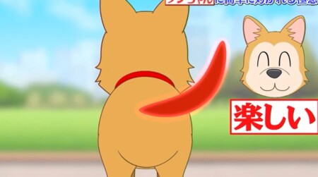 世界一受けたい授業 動物に好かれる人になる5つの方法は 犬や猫にすぐに懐かれる人の特徴