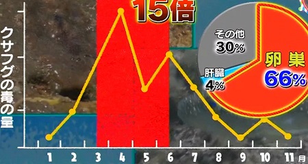 ふぐに毒がある理由は 猛毒は身を守るためではない チコちゃんに叱られる