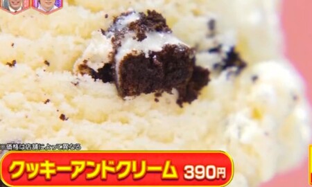 林修のニッポンドリル サーティワンの人気メニューランキングベスト10 第5位クッキーアンドクリーム