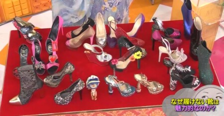 マツコの知らない世界 叶姉妹の履けない靴コレクション