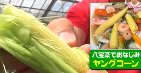 とうもろこしのヒゲって何の為 答えはめしべ チコちゃんに叱られる