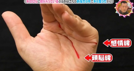 チコちゃんに叱られる 手の平の線 手相 皮線 はなぜ出来る 答えは胎児の時に手を握るから