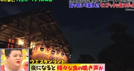 マツコの知らない世界 ディズニーソング 浅倉大介おすすめディズニーランド音スポット