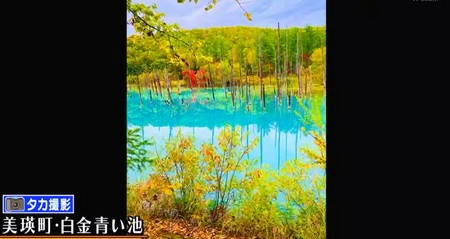 アメトーーク 北海道芸人 北海道あるあるが面白い 美瑛の青い池