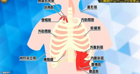 フットブレイン 肺活・呼吸トレーニングのやり方 13の呼吸筋