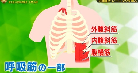 フットブレイン 肺活・呼吸トレーニングのやり方 呼吸のための腹筋群