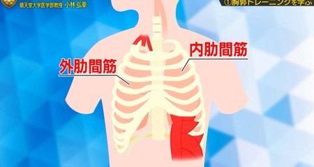 フットブレイン 肺活・呼吸トレーニングのやり方 肋間筋