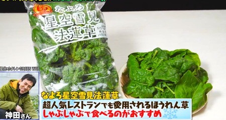 マツコの知らない世界 森崎博之が紹介した北海道冬野菜 なよろ星空雪見法蓮草