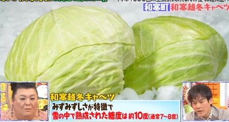 マツコの知らない世界 森崎博之が紹介した北海道冬野菜 和寒越冬キャベツ
