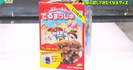 夜会ハウス 二宮和也のドンキグッズ紹介の商品一覧