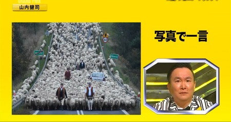 IPPONグランプリ2022春 写真で一言 回答一覧 山内 羊に包囲