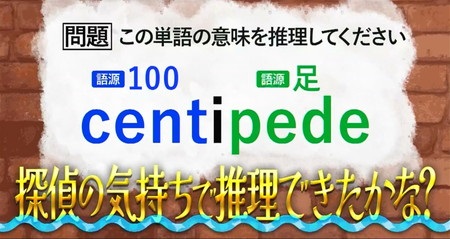 アピールちゃん 小倉優子 早稲田大学ドラゴン桜9 語源推測 centipedeの意味は？
