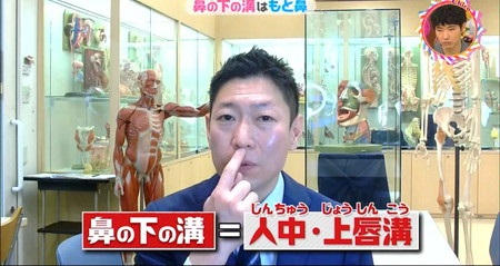チコちゃん 鼻の下の溝は何のため 人中 上唇溝の名前通り もと鼻 でも役割ゼロ