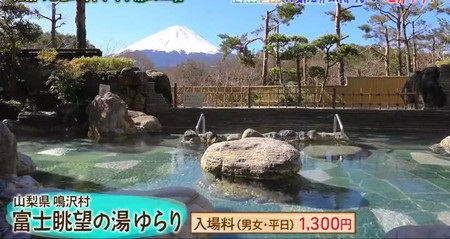 マツコの知らない世界 サウナ おすすめ一覧 富士眺望の湯ゆらり