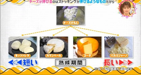 チーズの作り方講座 チーズの素から派生 チコちゃん