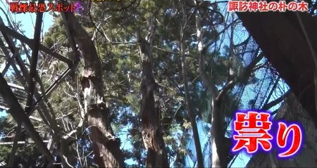 口を揃えた怖い話の心霊スポット一覧 諏訪神社の朴の木