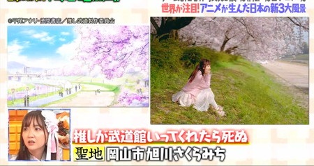 マツコの知らない世界 アニメ聖地巡礼 グルメ一覧 外国人が選ぶ日本新3大風景とは