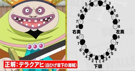 99人の壁 ワンピース問題 答え一覧 クイズ王決定戦の出題まとめ