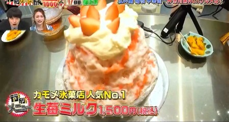 行列ゲット旅 神奈川の店一覧 カモメ氷菓店