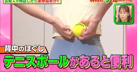 林修の今知りたいでしょ 美くびれデザインのやり方 芸能人ガチ検証結果 林修の今知りたいでしょ 美くびれデザインのやり方 芸能人ガチ検証結果