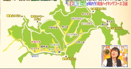 マツコの知らない世界 原由子の鎌倉湘南パワースポット 鎌倉広町緑地ハイキングコース